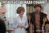 чего тебе ещё надо собака? 