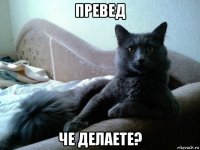 превед че делаете?