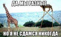 да, мы разные... но я не сдамся никогда