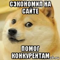 сэкономил на сайте помог конкурентам