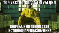то чувство, когда ты убедил волчка, и он понял свое истинное предназначение