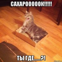 сахарооооок!!!!! ты где......?!