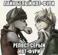 лайк белый кот-фури репост серый кот-фури