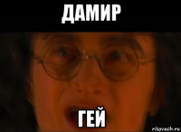 дамир гей