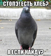 стопэ! есть хлеб? а если найду?