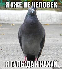 я уже не человек я гуль'дан нахуй