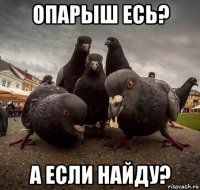 опарыш есь? а если найду?