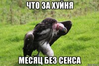 что за хуйня месяц без секса