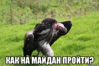  как на майдан пройти?