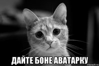  дайте боне аватарку