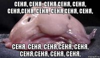 сеня, сеня, сеня,сеня, сеня, сеня,сеня, сеня, сеня,сеня, сеня, сеня, сеня, сеня,сеня, сеня, сеня,сеня, сеня, сеня,
