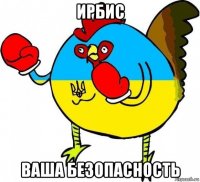 ирбис ваша безопасность