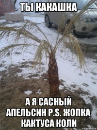 ты какашка а я сасный апельсин p.s. жопка кактуса коли