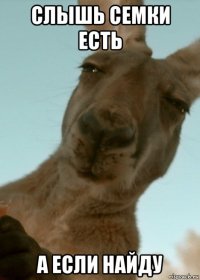 слышь семки есть а если найду