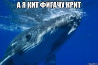 а я кит фигачу крит 