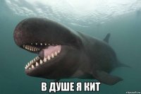  в душе я кит