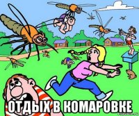  отдых в комаровке