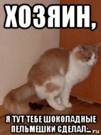 хозяин, я тут тебе шоколадные пельмешки сделал...