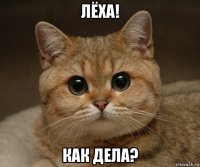 лёха! как дела?