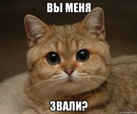 вы меня звали?