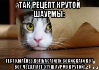 так рецепт крутой шаурмы: тесто,маёнез,колбаса(или сосиска)и кот вот чё делает эту шаурму крутой!