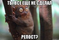 ты все еще не сделал репост?