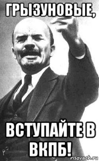 грызуновые, вступайте в вкпб!