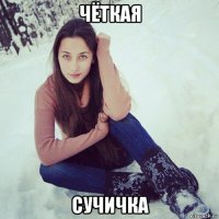 чёткая сучичка