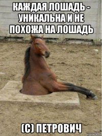 каждая лошадь - уникальна и не похожа на лошадь (с) петрович