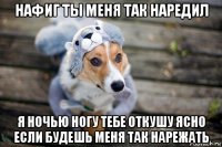 нафиг ты меня так наредил я ночью ногу тебе откушу ясно если будешь меня так нарежать