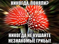 никогда, поняли? никогда не кушайте незнакомые грибы!