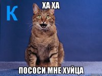 ха ха пососи мне хуйца