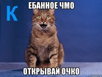 ебанное чмо открывай очко