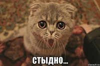  стыдно...