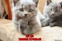 Да, да
тааааак печально