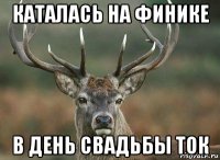 каталась на финике в день свадьбы ток