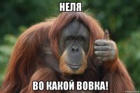 неля во какой вовка!