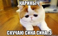 кариныч скучаю сина сина :3
