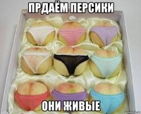прдаём персики они живые