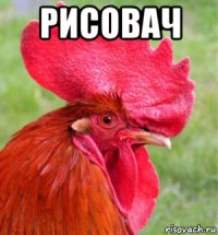 рисовач 