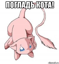 погладь кота! 