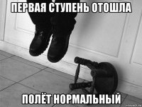 первая ступень отошла полёт нормальный