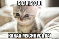 бози,бози! какая мусипуська!