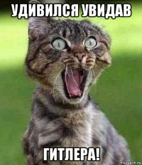 удивился увидав гитлера!
