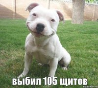 выбил 105 щитов