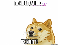 привет, анже... ох йопт!