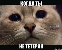когда ты не тетерин