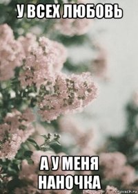 у всех любовь а у меня наночка