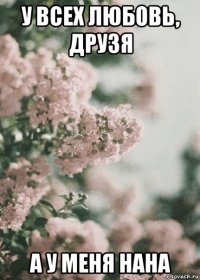 у всех любовь, друзя а у меня нана