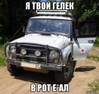 я твой гелек в рот е*ал